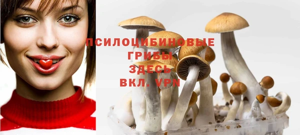 PSILOCYBIN Балабаново